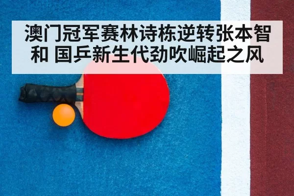 table tennis racket and ball
