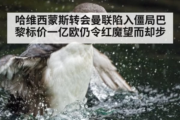 哈维西蒙斯转会曼联陷入僵局巴黎标价一亿欧仍令红魔望而却步